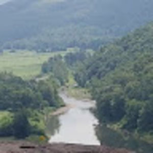 Meet your Posher, Carey